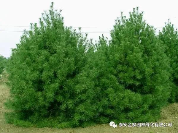 合肥注塑加工廠